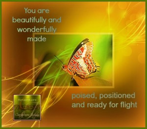 butterfly.poised.jpg